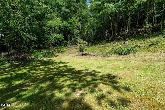 109 Hatley Hollow Rd, Butler, TN 37640 - view of green lawn
