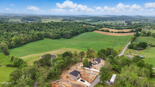 169 Paynetown Rd, Telford, TN 37690 - photo 27