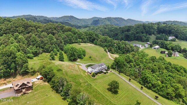 4296 Bloomingdale Rd, Kingsport, TN 37660 - photo 6