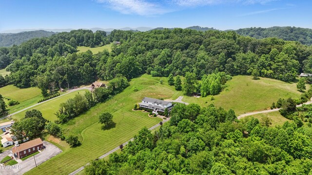 4296 Bloomingdale Rd, Kingsport, TN 37660 - photo 7