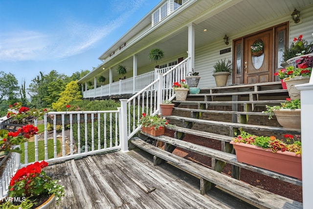 4296 Bloomingdale Rd, Kingsport, TN 37660 - photo 11