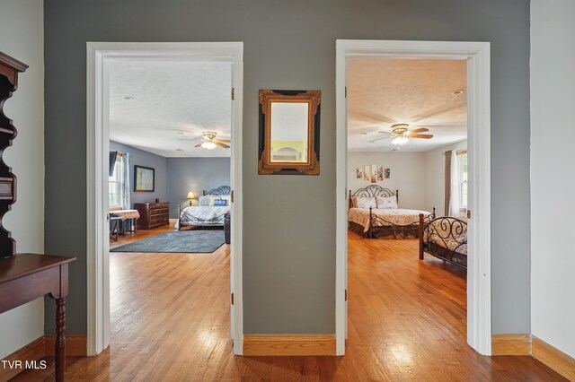 4296 Bloomingdale Rd, Kingsport, TN 37660 - photo 50