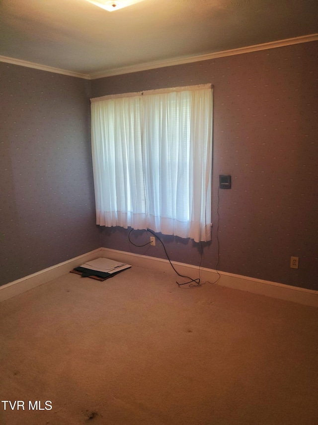 405 7th St, Newport, TN 37821 - photo 12