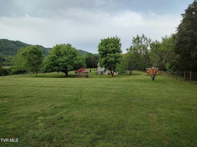 3742 Beech Grove Rd, Jonesville, VA 24263 - view of yard