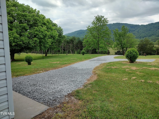 3742 Beech Grove Rd, Jonesville, VA 24263 - view of home's community with a mountain view, a yard, gravel driveway, and a forest view