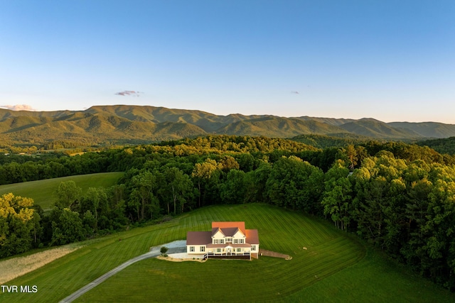 7540 Erwin Hwy, Chuckey, TN 37641 - view from above of property with a forest and mountains