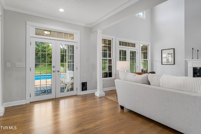 7540 Erwin Hwy, Chuckey, TN 37641 - living room with wood finished floors, french doors, crown molding, plenty of natural light, and baseboards