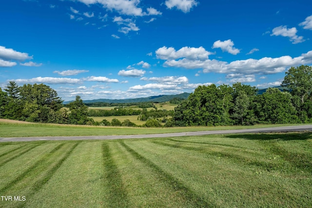 7540 Erwin Hwy, Chuckey, TN 37641 - view of grassy yard