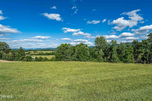 7540 Erwin Hwy, Chuckey, TN 37641 - view of grassy yard with a view of rural / pastoral area
