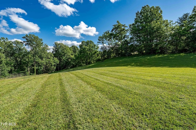 7540 Erwin Hwy, Chuckey, TN 37641 - view of grassy yard