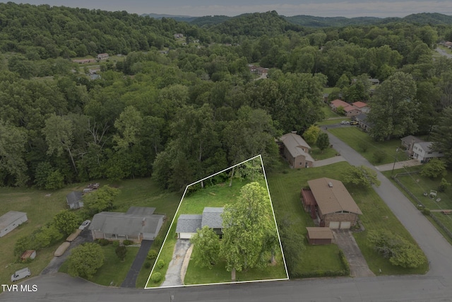 405 Castaway Dr, Kingsport, TN 37663 - aerial view of property's location featuring a heavily wooded area and property parcel outlined