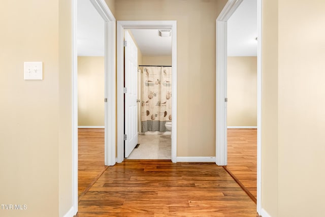 1213 American Way, Jonesborough, TN 37659 - hall featuring wood finished floors and baseboards