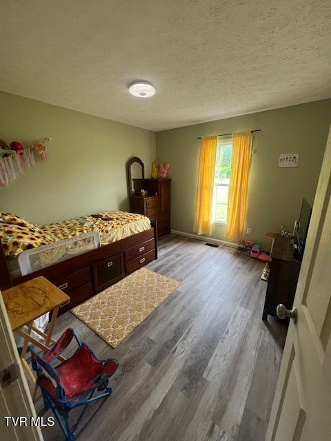 365 Guthrie Greene Rd, Bulls Gap, TN 37711 - bedroom with light wood-style floors, a textured ceiling, and baseboards