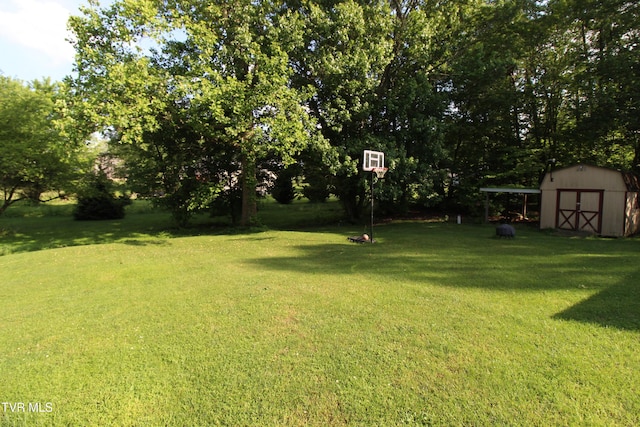 16319 Mary St, Abingdon, VA 24210 - view of green lawn