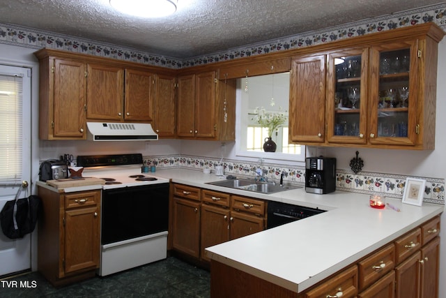 16319 Mary St, Abingdon, VA 24210 - kitchen featuring white electric stove, extractor fan, a sink, dishwasher, and brown cabinets