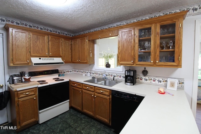 16319 Mary St, Abingdon, VA 24210 - kitchen with range with electric cooktop, ventilation hood, a sink, dishwasher, and light countertops