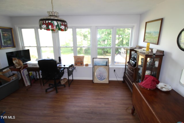 16319 Mary St, Abingdon, VA 24210 - office featuring dark wood finished floors, plenty of natural light, and baseboards