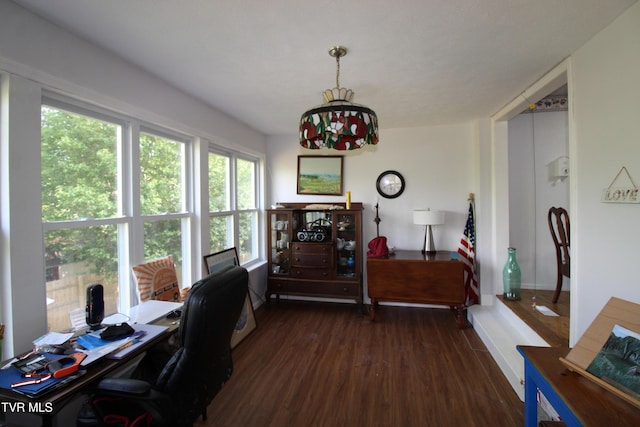 16319 Mary St, Abingdon, VA 24210 - office with dark wood-style flooring