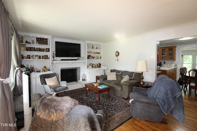 16319 Mary St, Abingdon, VA 24210 - living room featuring wood finished floors, a fireplace with raised hearth, built in features, and ornamental molding