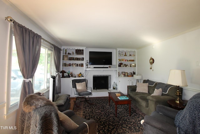16319 Mary St, Abingdon, VA 24210 - living room featuring a fireplace with raised hearth, built in shelves, and ornamental molding
