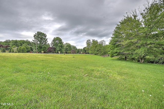 2041 King College Rd, Bristol, TN 37620 - view of green lawn
