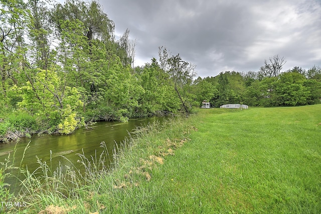 2041 King College Rd, Bristol, TN 37620 - view of grassy yard featuring a view of trees
