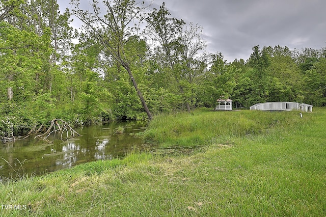 2041 King College Rd, Bristol, TN 37620 - view of yard featuring a view of trees