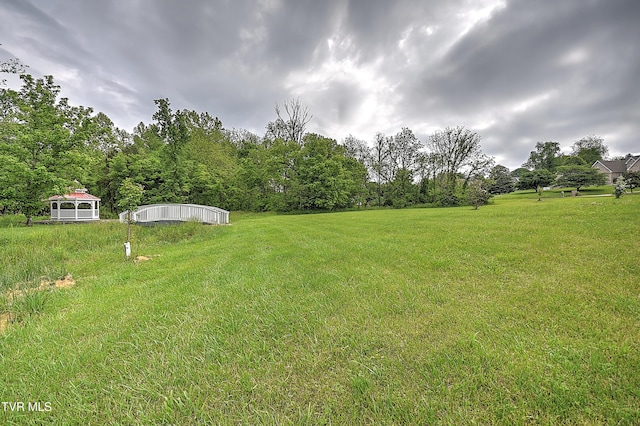 2041 King College Rd, Bristol, TN 37620 - view of green lawn