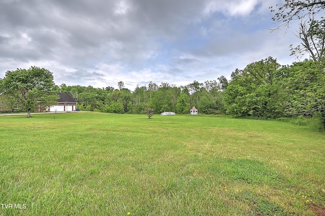 2041 King College Rd, Bristol, TN 37620 - view of green lawn