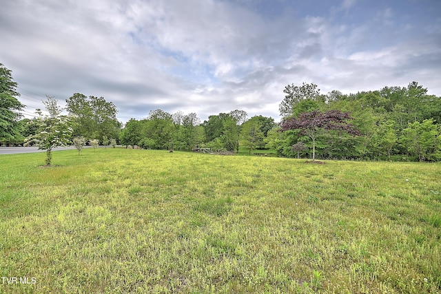 2041 King College Rd, Bristol, TN 37620 - view of yard