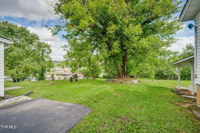 1507 Massachusetts Ave, Bristol, VA 24201 - photo 18