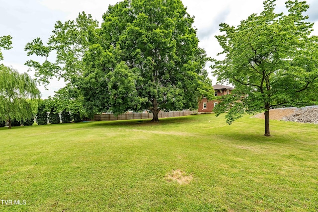 2107 Bartlett St, Johnson City, TN 37601 - view of yard