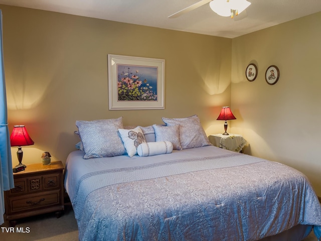 519 Foxgate Dr, Erwin, TN 37650 - view of carpeted bedroom