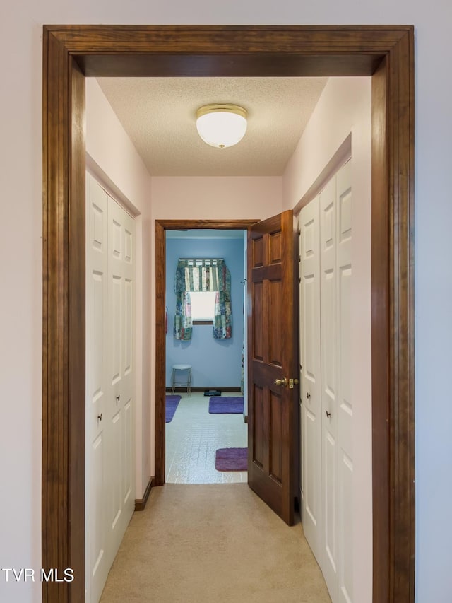 519 Foxgate Dr, Erwin, TN 37650 - corridor featuring light carpet