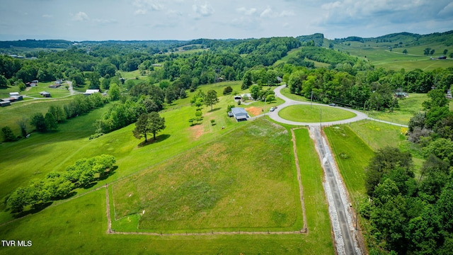 Tbd Tranquil Court, Jonesborough, TN 37659