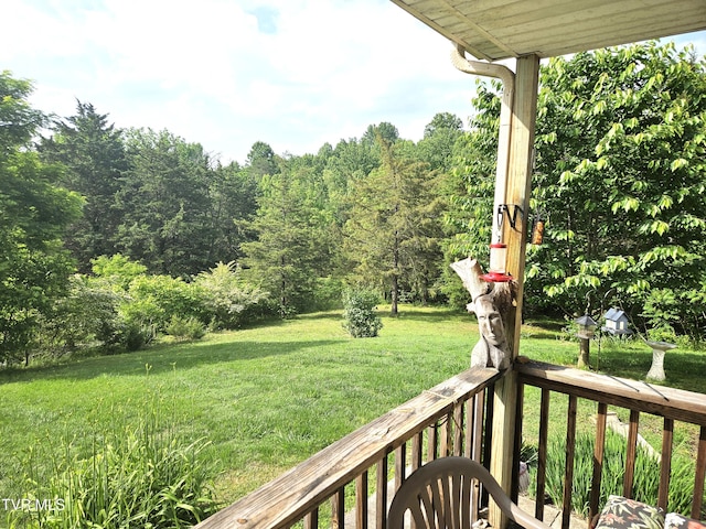 230 Buzzard Roost Rd, Bulls Gap, TN 37711 - photo 8