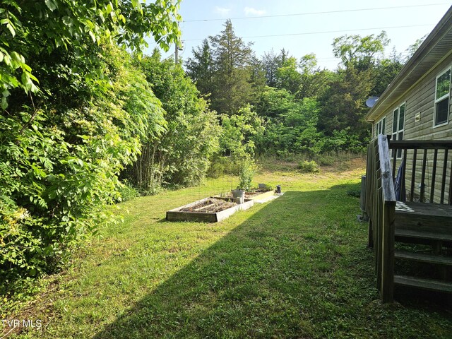 230 Buzzard Roost Rd, Bulls Gap, TN 37711 - photo 5
