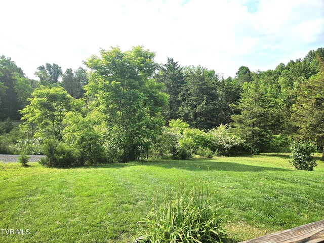 230 Buzzard Roost Rd, Bulls Gap, TN 37711 - photo 6