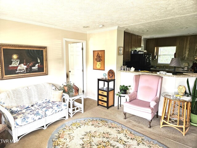 230 Buzzard Roost Rd, Bulls Gap, TN 37711 - photo 19