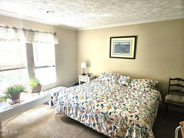230 Buzzard Roost Rd, Bulls Gap, TN 37711 - photo 22