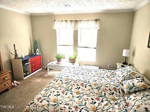 230 Buzzard Roost Rd, Bulls Gap, TN 37711 - photo 21