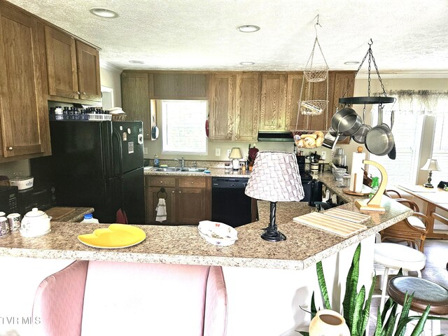 230 Buzzard Roost Rd, Bulls Gap, TN 37711 - photo 17