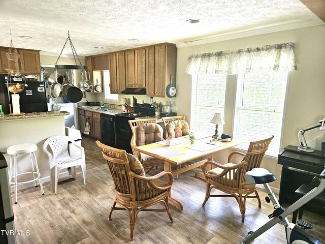 230 Buzzard Roost Rd, Bulls Gap, TN 37711 - photo 12