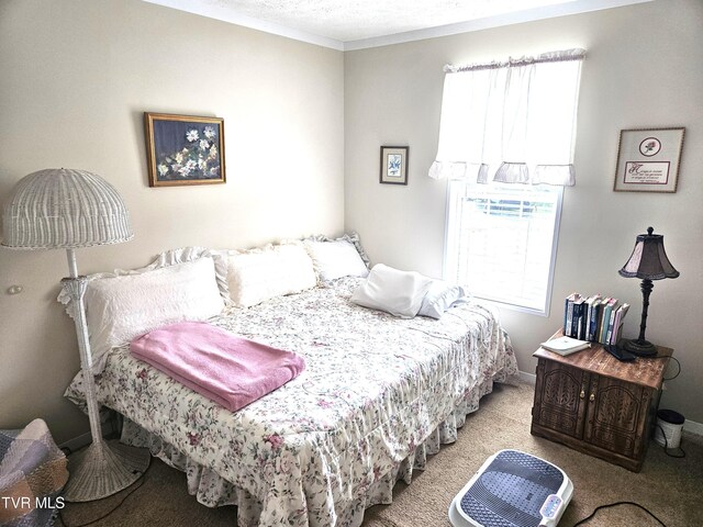 230 Buzzard Roost Rd, Bulls Gap, TN 37711 - photo 24