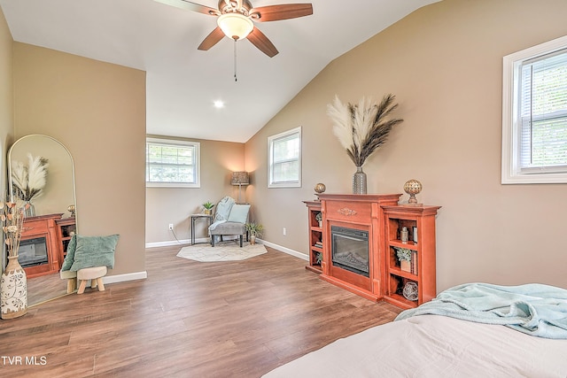 145 Elm Heights St, Johnson City, TN 37615 - bedroom with a glass covered fireplace, multiple windows, vaulted ceiling, and wood finished floors