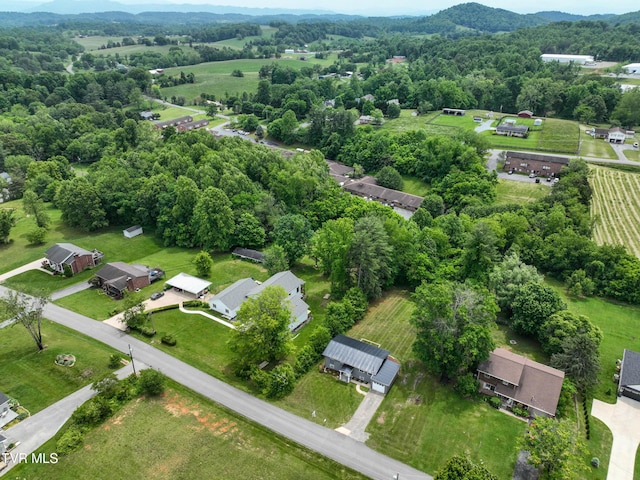 145 Elm Heights St, Johnson City, TN 37615 - aerial view of property's location with mountains