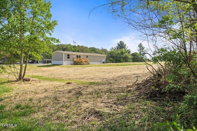 113 Hicks Dr, Johnson City, TN 37615 - view of green lawn