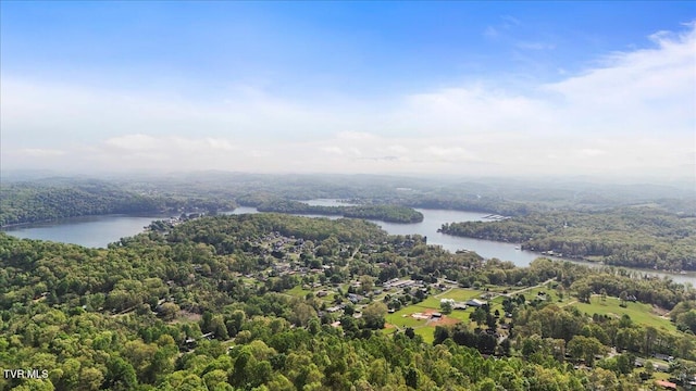 113 Hicks Dr, Johnson City, TN 37615 - aerial view of a forest and a nearby body of water