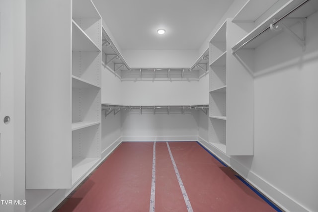 view of spacious closet