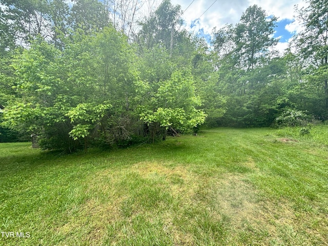 view of grassy yard
